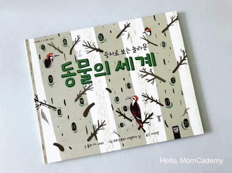  초등 수학동화/ 동물의 세계(롤라M.)로 배우는 수학의 연산, 평균