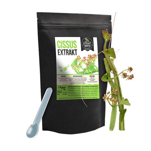 Cissus 시서스 가루 분말 파우더 100g Cissus 시서스 가루 분말 파우더 100g