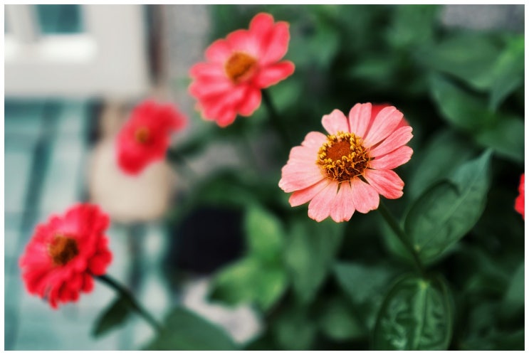  주말 스냅 (a7m3 + fe28/2 or fe50/1.8)