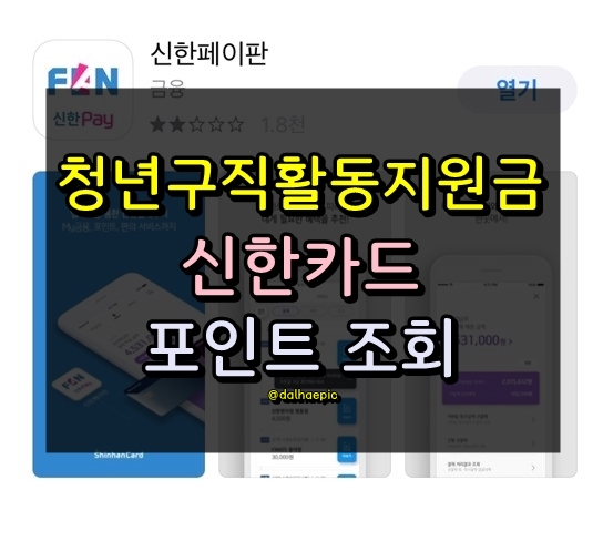  [청년구직활동지원금 후기] 신한카드 신한페이 포인트 조회<3단계>