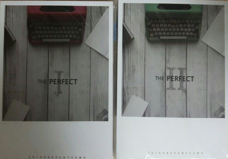  THE PERFECT