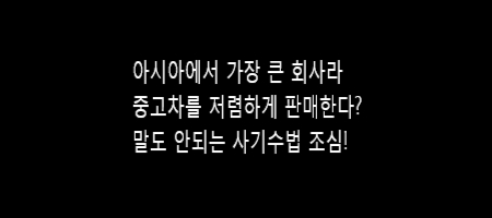  아시아에서 제일 큰 회사라 저렴하다??
