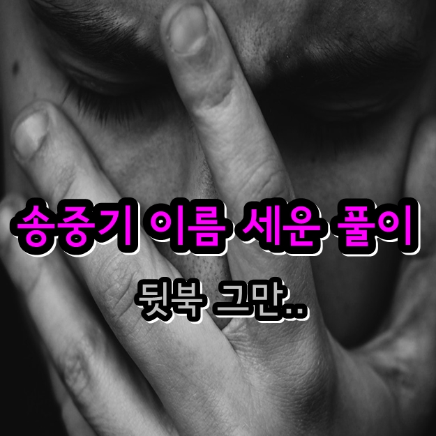 송중기 다지음 이름 세운 풀이 - 탈모사진 최근사진 머리빠진 머리숱 송혜교 불화 이혼 송중기 다지음 이름 세운 풀이 - 탈모사진 최근사진 머리빠진 머리숱 송혜교 불화 이혼
