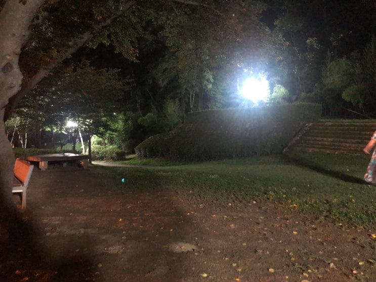  대구 애견동반 산책 두부의 수성못 산책! 오랫만에 다녀왔습니다 ^^