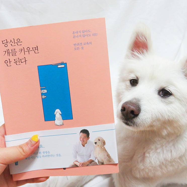  수밤라이브 강아지 산책 인증하고 <당신은 개를 키우면 안 된다> 강형욱 친필싸인 책 받았어요