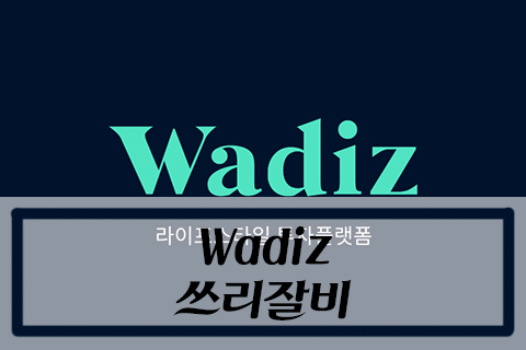  용품 :: 빗자루의 혁신! 와디즈 쓰리잘비