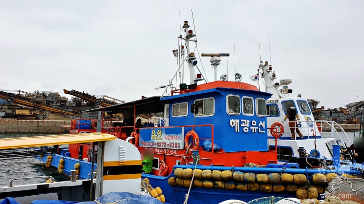  인천배낚시 특별한 도시어부 데이트 해광유선