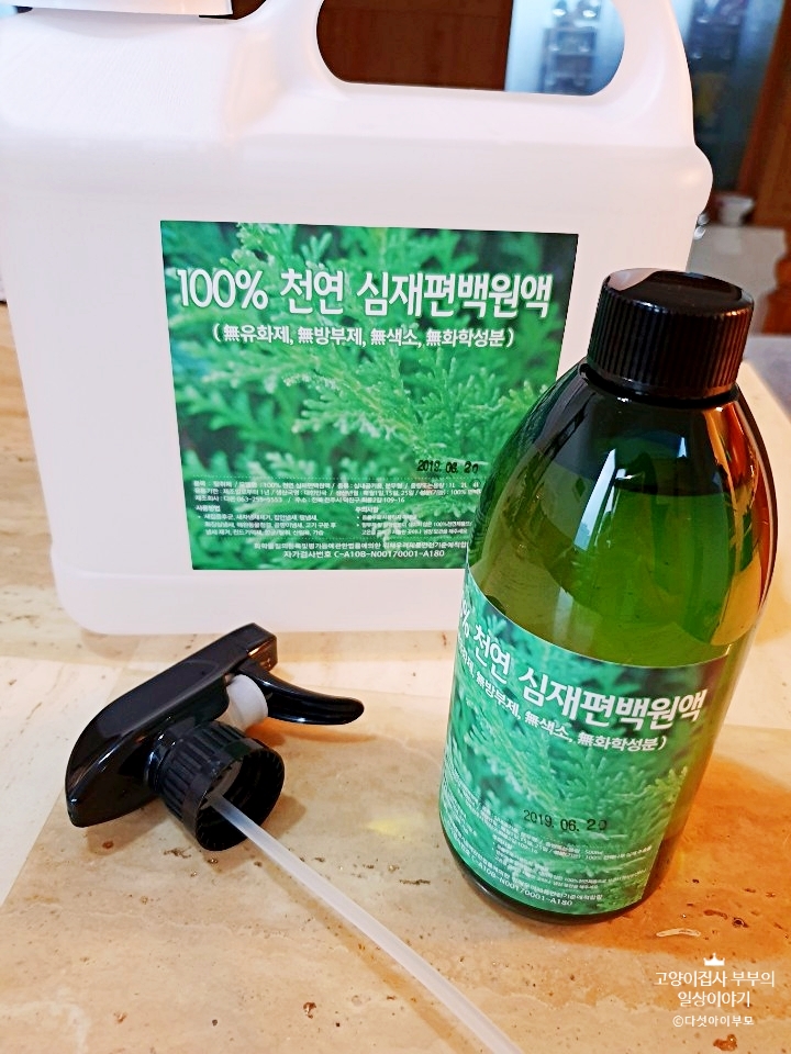  심재편백수 좀벌레퇴치를 부탁해!