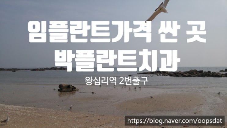 임플란트가격 싼 곳 왕십리치과