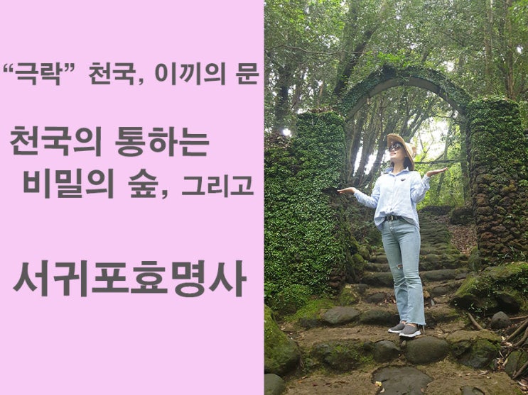  서귀포효명사, 비밀의 숲에서 천국의 문을 두드리다