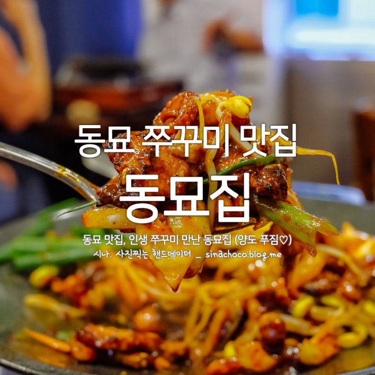  동묘 맛집, 인생 쭈꾸미 만난 동묘집 (양도 푸짐)