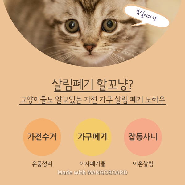  구미가구수거? 폐가전 중고 살림 빈집정리/ 가정폐기물 처리 잘하는 거기!! 석적 선산 왜관 군위 김천 어디든 갑니다. 구미유품정리도 잘해요.