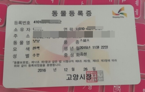  반려동물 등록... 선택이 아닌 필수~!!