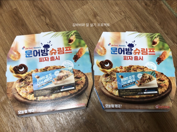  07.02.19 일상 : 도미노 1+1