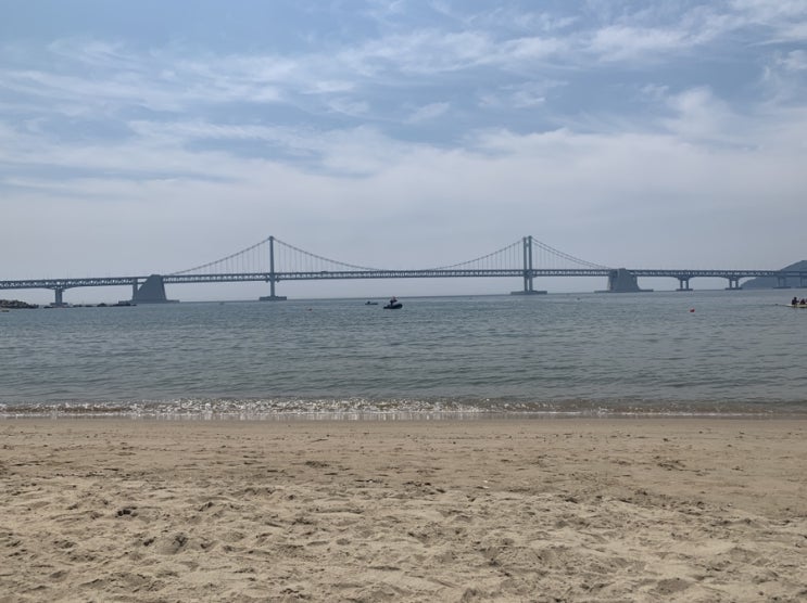  나 모르게 나의 근황을 궁금해할 누군가에게 (6월)