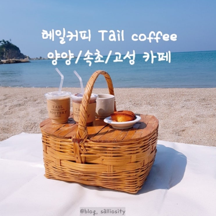  [속초/고성 카페] 테일커피