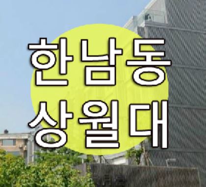 한남동 유엔빌리지 고급빌라 상월대 매매