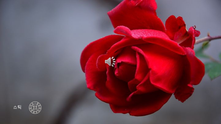  [한 줄 좋은 글]