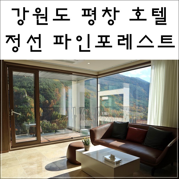  평창 호텔 정선 파인포레스트 객실이 넓고 다양한 액티비티 가능