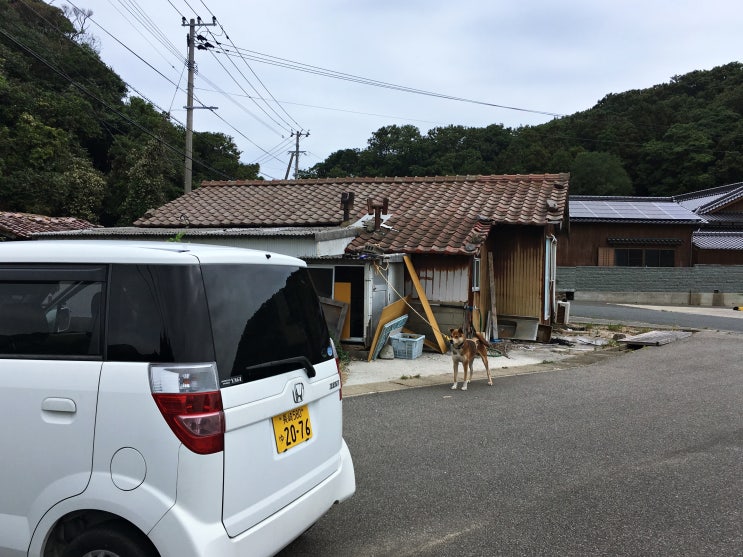  히타카츠숙박, 대마도 최북단 민박야마자키(民泊山崎), 석식과 조식