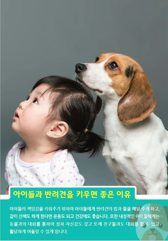  반려견 자진 등록기간입니다.