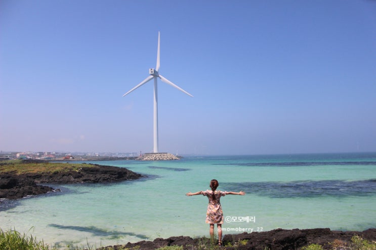 제주도 여름 7월 1박2일 여행일기, 짧아도 꼭 다녀오면 좋은 제주 여름