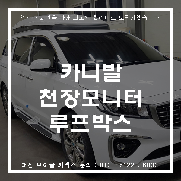  대전 카니발 루프박스 / 천장모니터 / 사이드스텝 브이쿨 카맥스!!