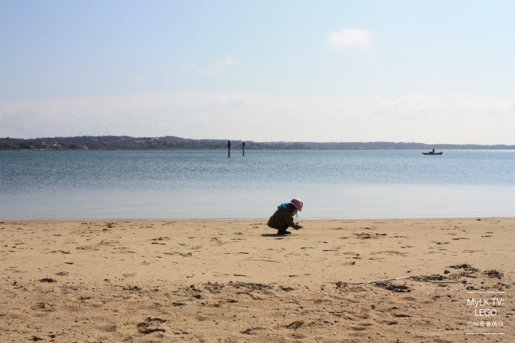  뉴욕 근교여행, 롱아일랜드 휴양지: 존스비치 Jones Beach, 시더비치 cedar beach, 쉘터아일랜드shelter island, 롱아일랜드 동쪽 몬탁 Montauk
