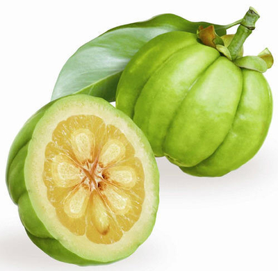  가르시니아(Garcinia) 추천 제품들
