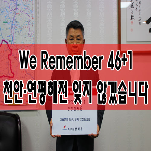  We Remember 46+1 - 천안함·연평해전 잊지 않겠습니다