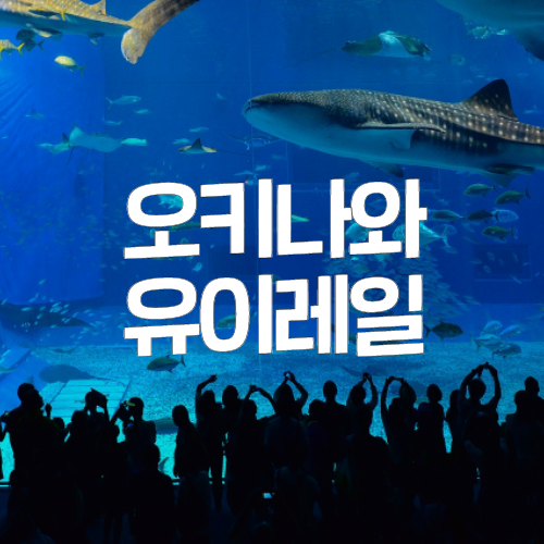  오키나와 나하공항에서 시내 이동하기 교통추천 유이레일 탑승방법, 요금, 여행코스 추천