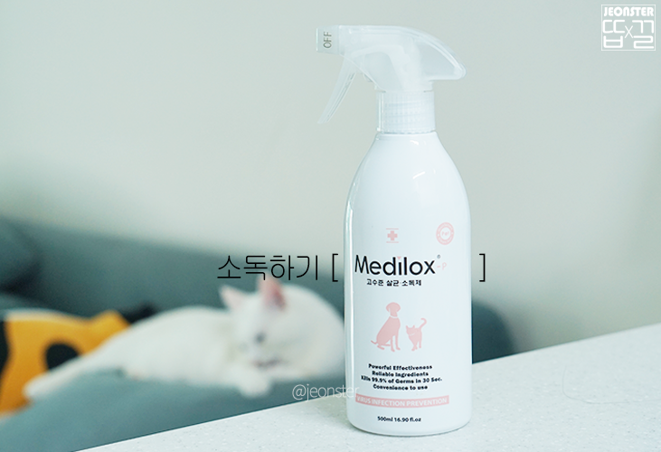  메디록스(Medilox) - 고양이 용품 살균 소독제