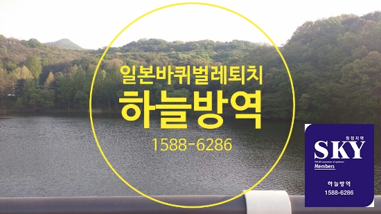  바퀴벌레의 종류-일본바퀴벌레