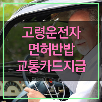  서울시 고령운전자 면허반납시 교통카드지급 신청방법! 혜택이 좀 적다.