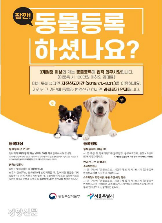  '개도 등록증이 필요해' 7~8월 반려동물 등록 안하면 '과태료'