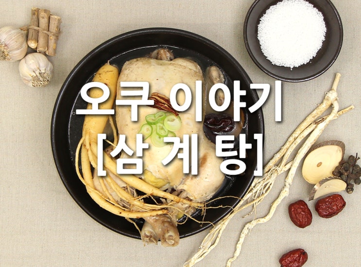  "촉촉보들~" 초복/중복/말복 보양식[삼계탕]
