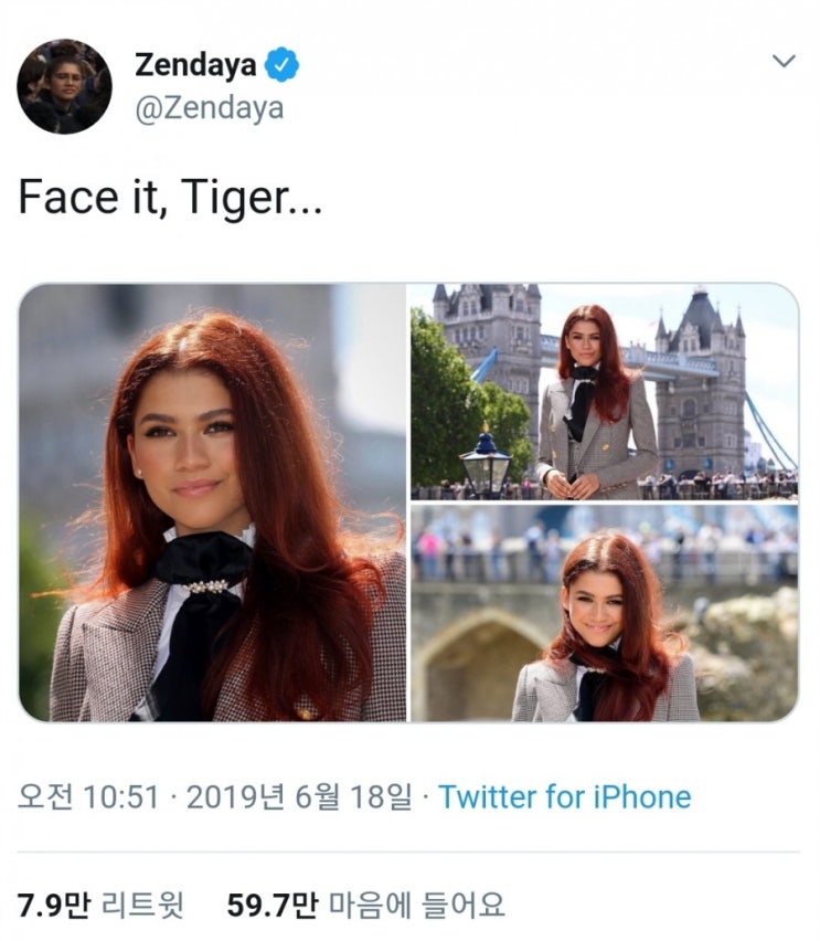 스파이더맨 MJ 젠데이야가 악플러에 대처하는 방법 스파이더맨 MJ 젠데이야가 악플러에 대처하는 방법