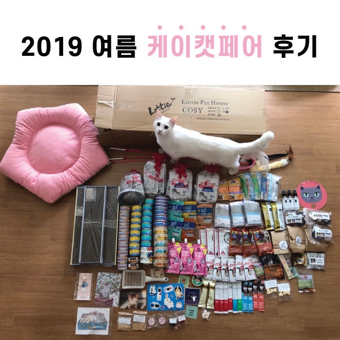 2019 여름 케이캣페어 사냥  후기(2019.6)