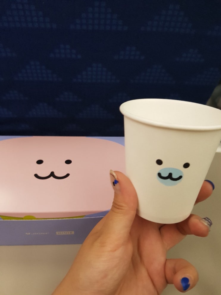  세부  3박4일 진에어 항공 기내식,김해공항 맛집