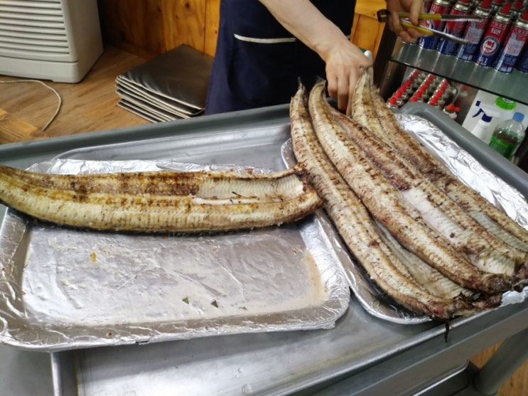  강화갯벌장어 팔뚝보다굵은 남다른맛 추천맛집