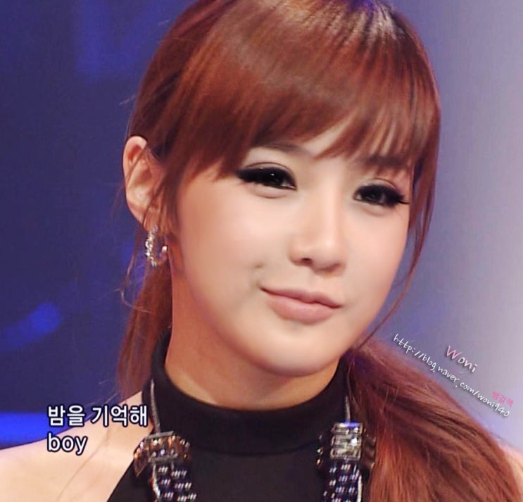  박봄 사주-신해 일주