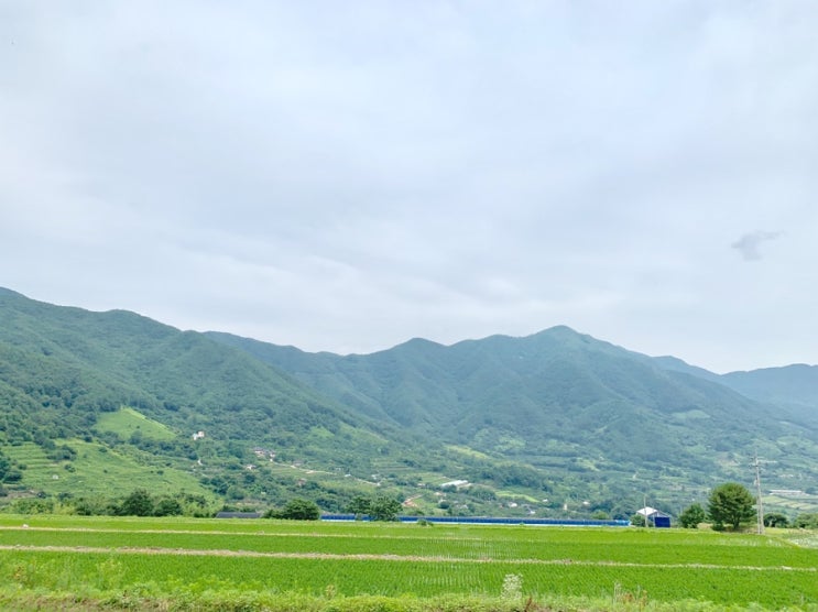  한번씩