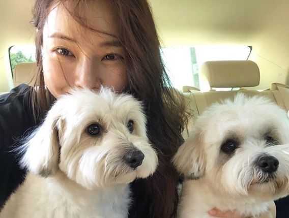  배우 이하늬 인스타방송으로 남심저격!!