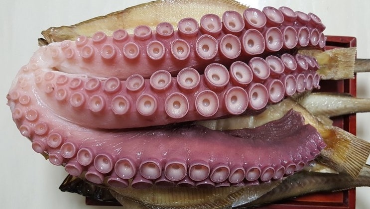  맛도 좋고 몸에도 좋은 문어 효능은 무엇일까요?
