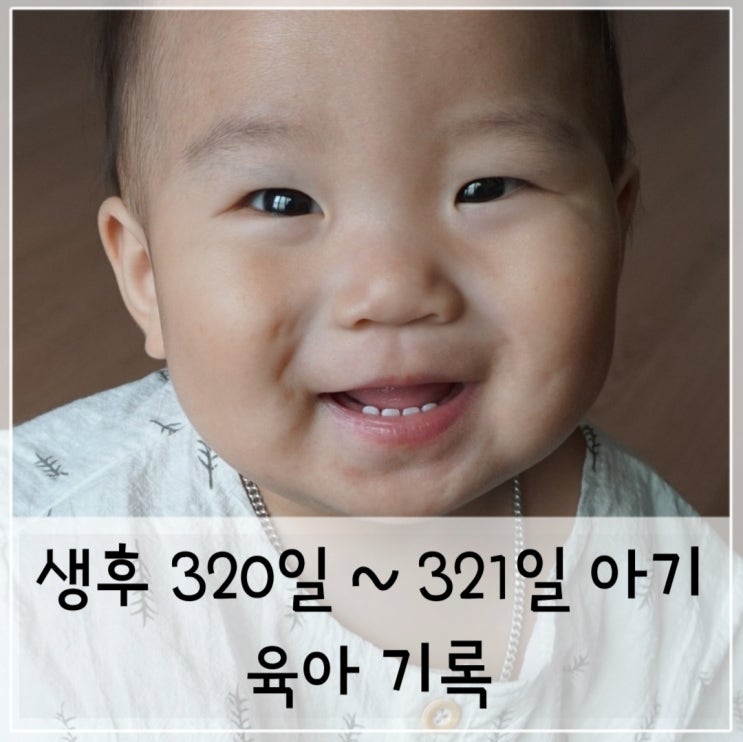  생후 10개월 320일 ~ 321일 아기 발달 및 일상 . 흥 많은 아기의 댄스~?