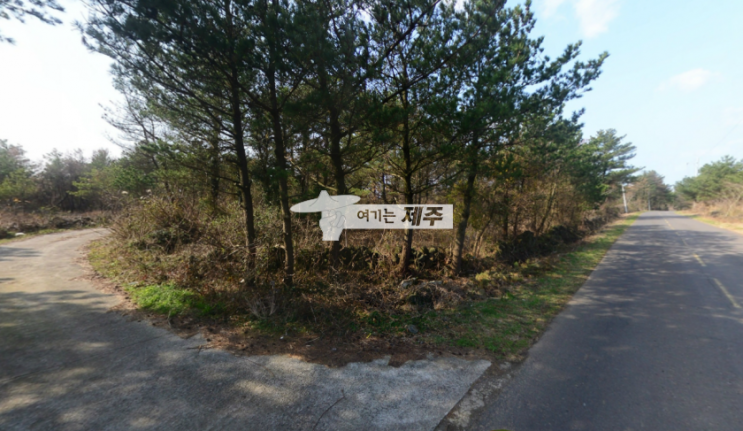  [상대리 토지] 2차선에서 바로 진입/ 한림읍 상대리 계획관리(임), 450평, 당40만  매매