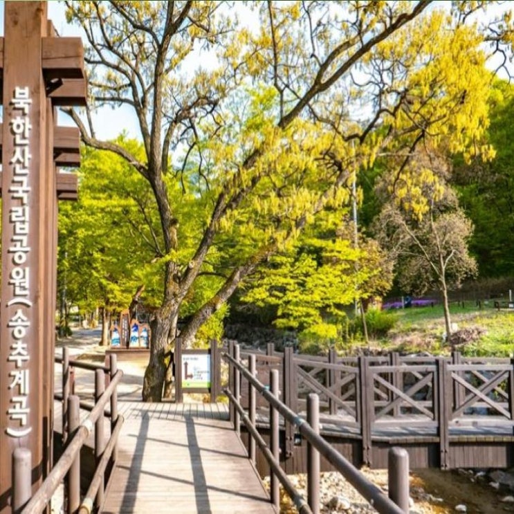  전국 계곡추천 베스트3 송추 동막 운주