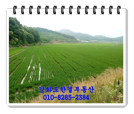  (강화도절대농지)강화도절대농지 서도면 주문도리 절대농지 해안선 접. 서도면 연도교 서도면농지