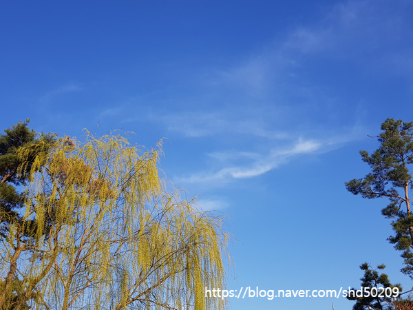  2019 0318 ~ 0324 