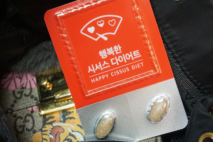  이다희 다이어트 스키니랩 시서스 다이어트 나도 도전